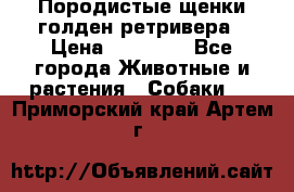 Породистые щенки голден ретривера › Цена ­ 25 000 - Все города Животные и растения » Собаки   . Приморский край,Артем г.